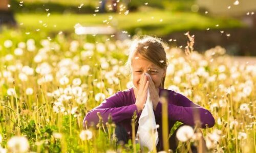 Bientôt le printemps, bientôt les allergies !